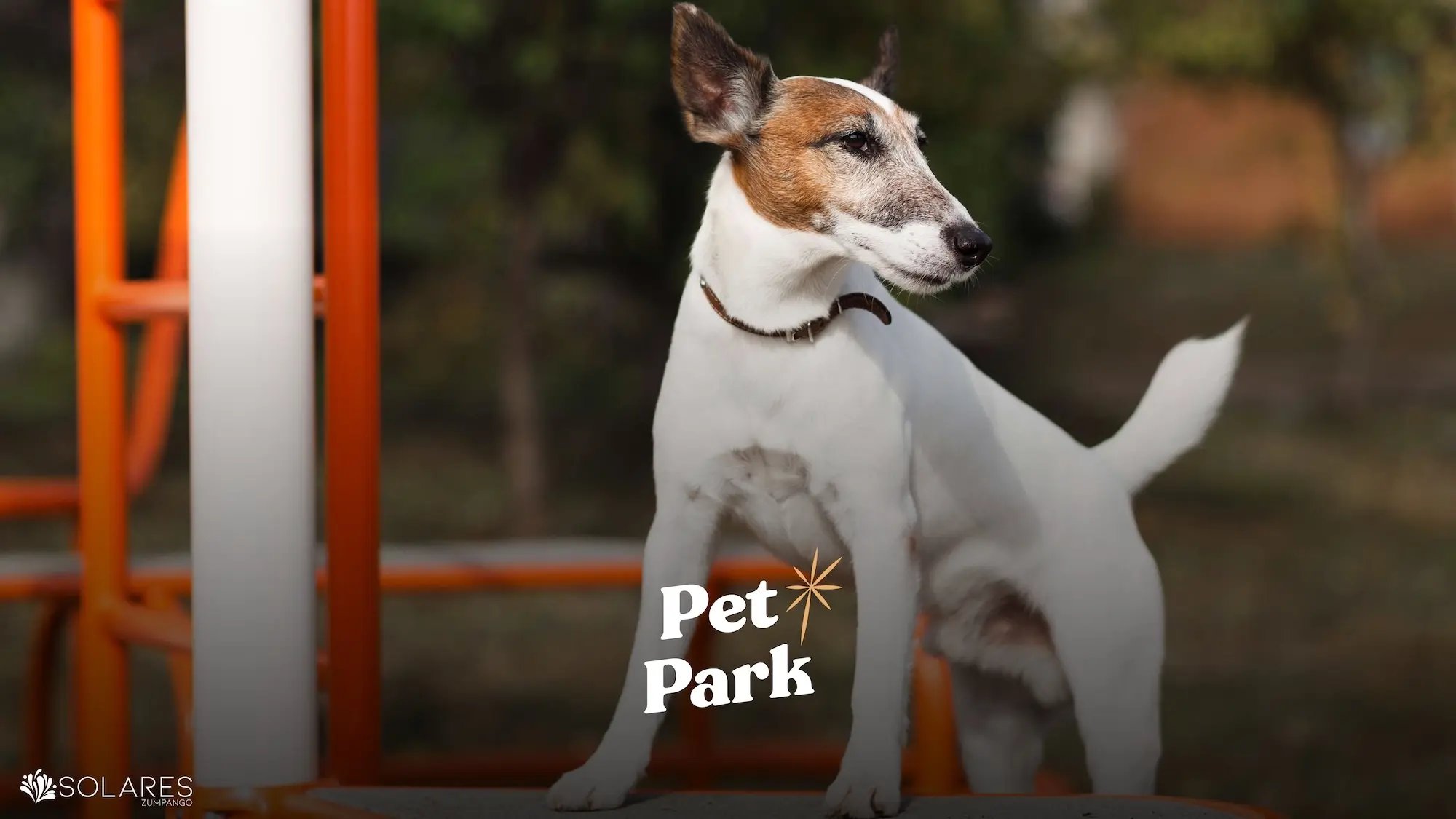 Fotografia de Departamento Travertino 2 de 7