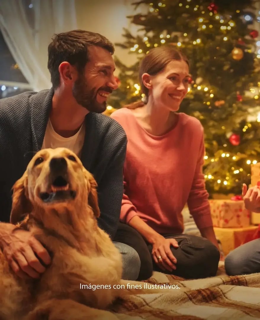 Tu casa, tu navidad, tus reglas  - HU Lifestyle - Casas y departamentos a la venta